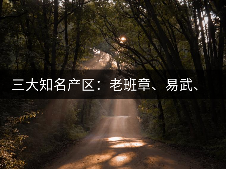 三大知名產(chǎn)區(qū)：老班章、易武、景邁三大茶系都有哪些特點！