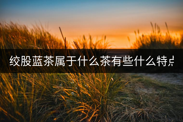 絞股藍(lán)茶屬于什么茶有些什么特點(diǎn)？