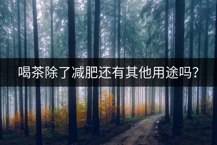 喝茶除了減肥還有其他用途嗎？