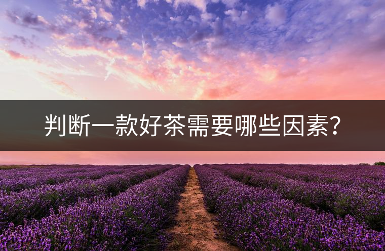 判斷一款好茶需要哪些因素？