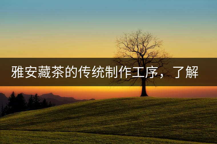 雅安藏茶的傳統(tǒng)制作工序，了解了傳統(tǒng)技藝才能更好的了解茶品！