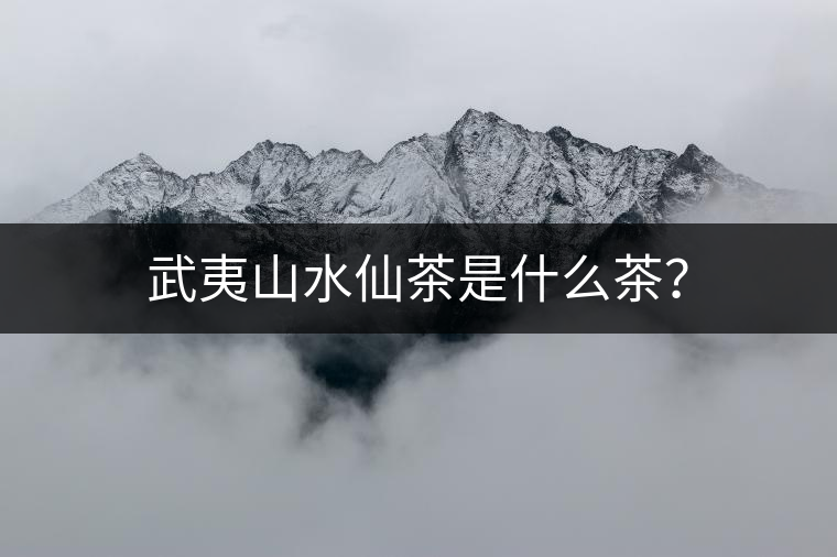 武夷山水仙茶是什么茶？