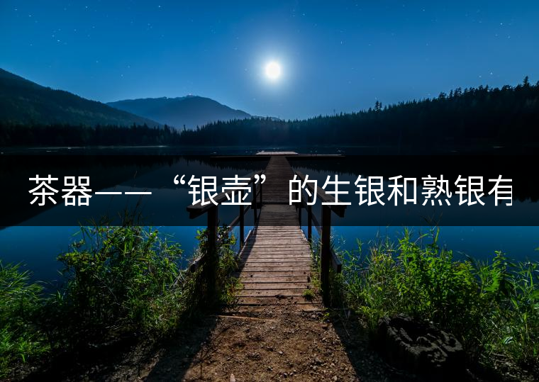 茶器——“銀壺”的生銀和熟銀有什么區(qū)別嗎？