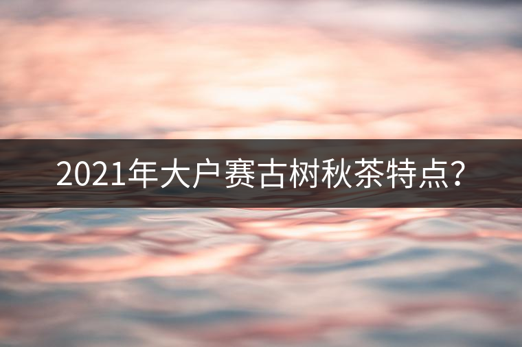 2021年大戶賽古樹秋茶特點(diǎn)？