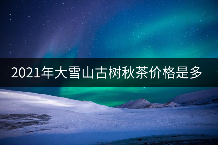 2021年大雪山古樹秋茶價(jià)格是多少？