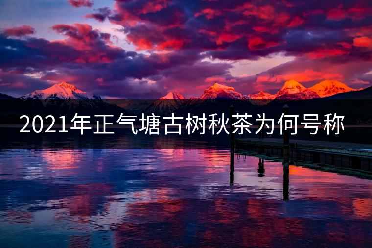 2021年正氣塘古樹秋茶為何號稱小冰島？