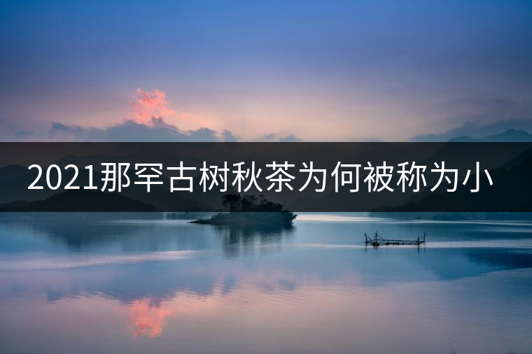 2021那罕古樹秋茶為何被稱為小昔歸？