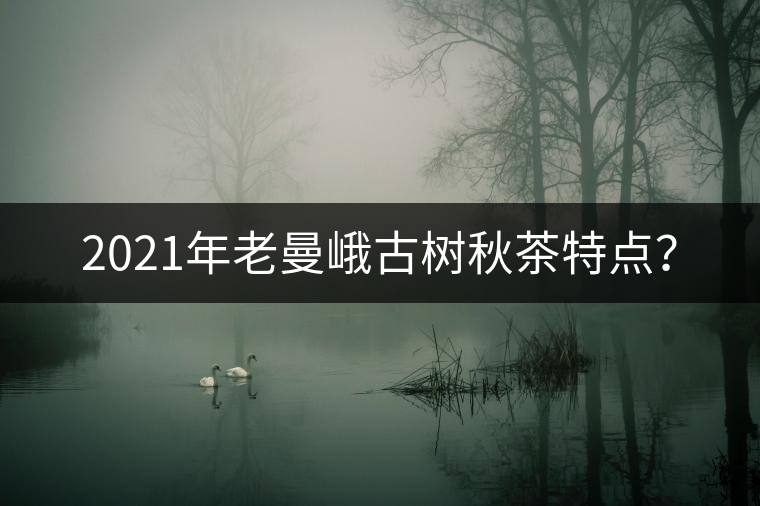 2021年老曼峨古樹秋茶特點(diǎn)？