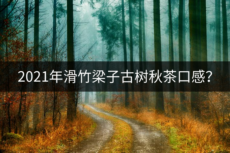 2021年滑竹梁子古樹秋茶口感？