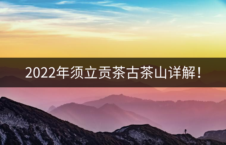 2022年須立貢茶古茶山詳解！