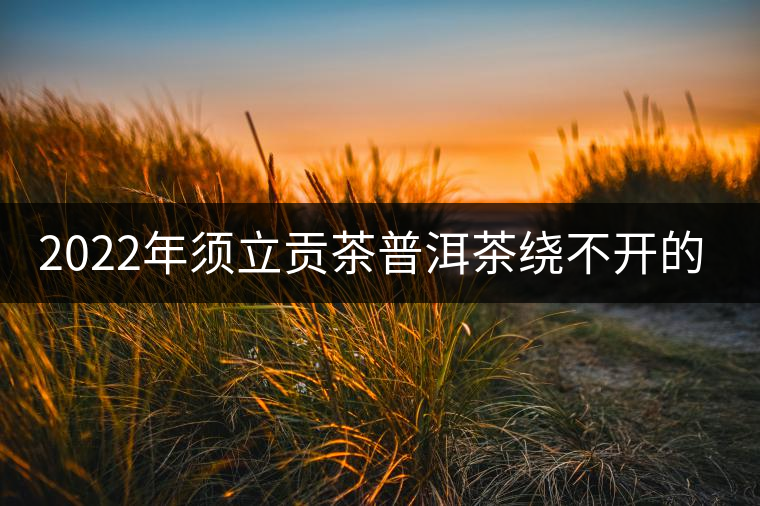 2022年須立貢茶普洱茶繞不開的古茶山！