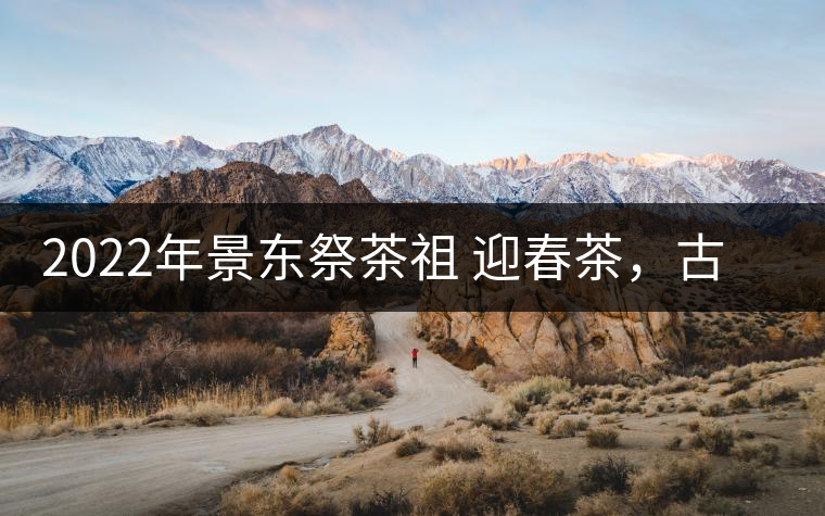 2022年景東祭茶祖 迎春茶，古樹(shù)春茶多少錢(qián)一公斤？