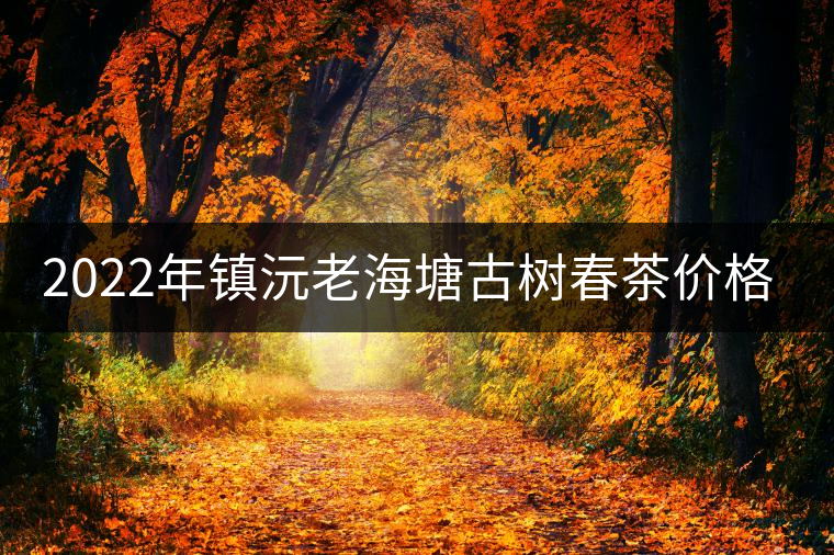 2022年鎮(zhèn)沅老海塘古樹春茶價(jià)格？