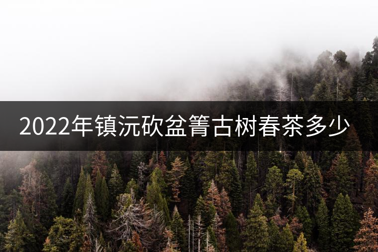 2022年鎮(zhèn)沅砍盆箐古樹(shù)春茶多少錢(qián)一公斤？