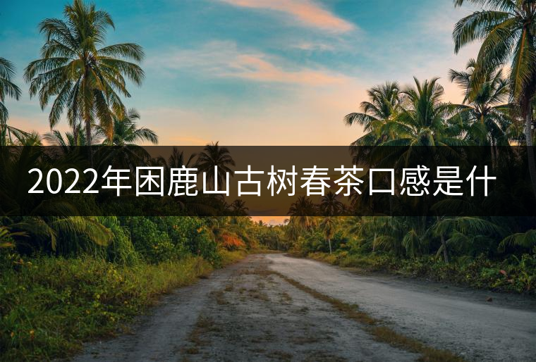 2022年困鹿山古樹春茶口感是什么？