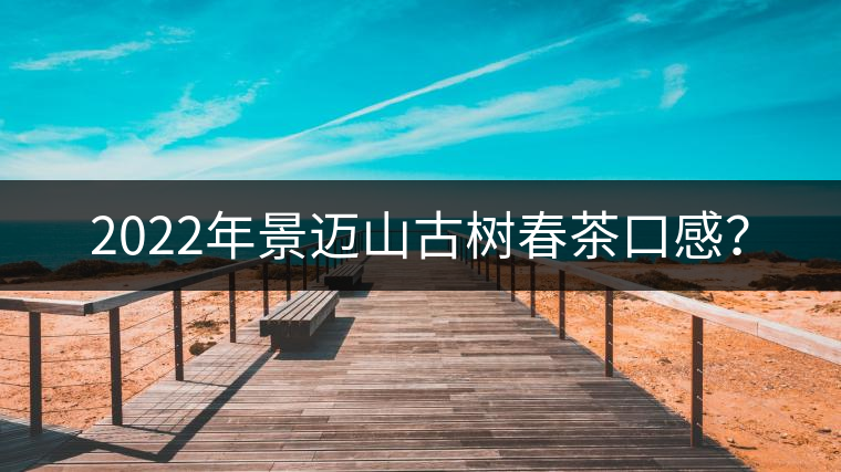 2022年景邁山古樹春茶口感？