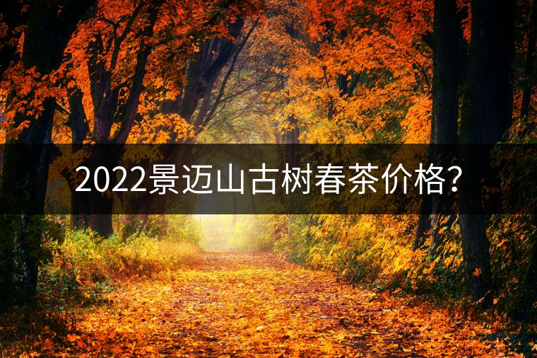 2022景邁山古樹春茶價格？