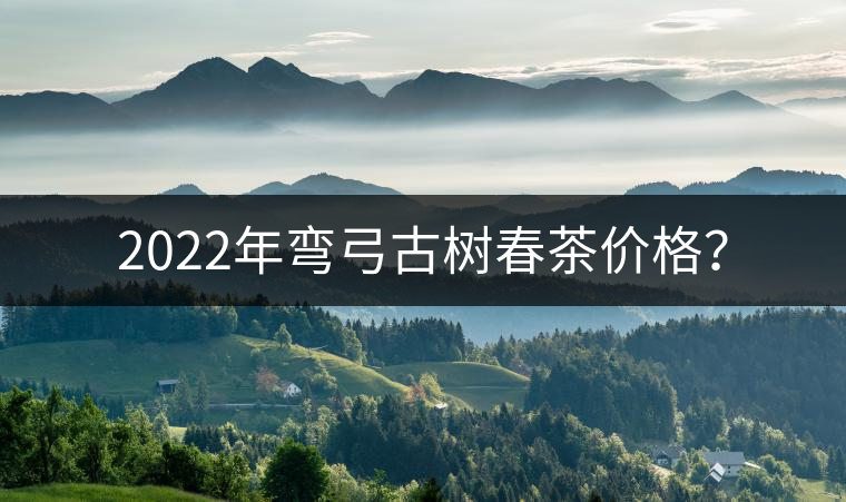 2022年彎弓古樹春茶價(jià)格？