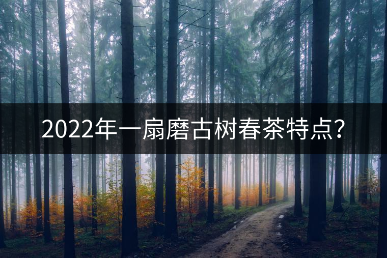 2022年一扇磨古樹春茶特點(diǎn)？
