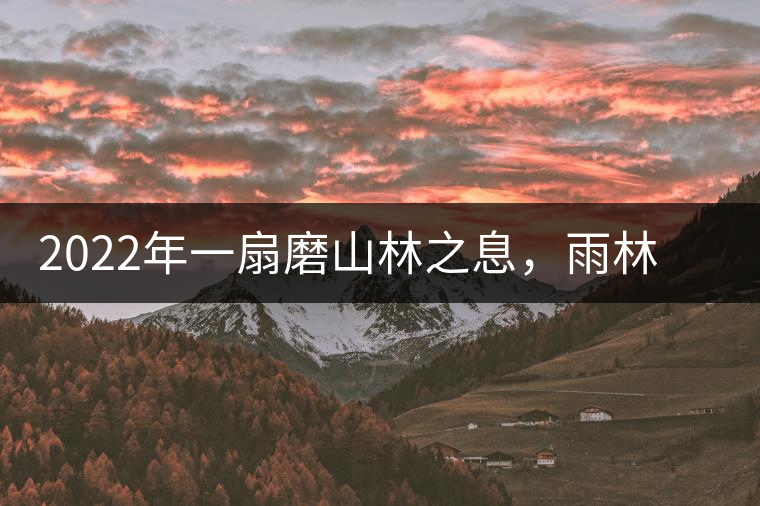 2022年一扇磨山林之息，雨林之味，原始之態(tài)