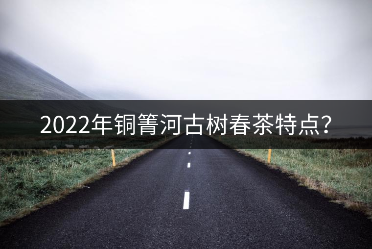 2022年銅箐河古樹(shù)春茶特點(diǎn)？