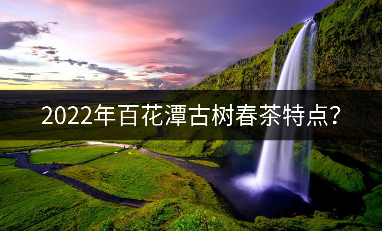 2022年百花潭古樹(shù)春茶特點(diǎn)？