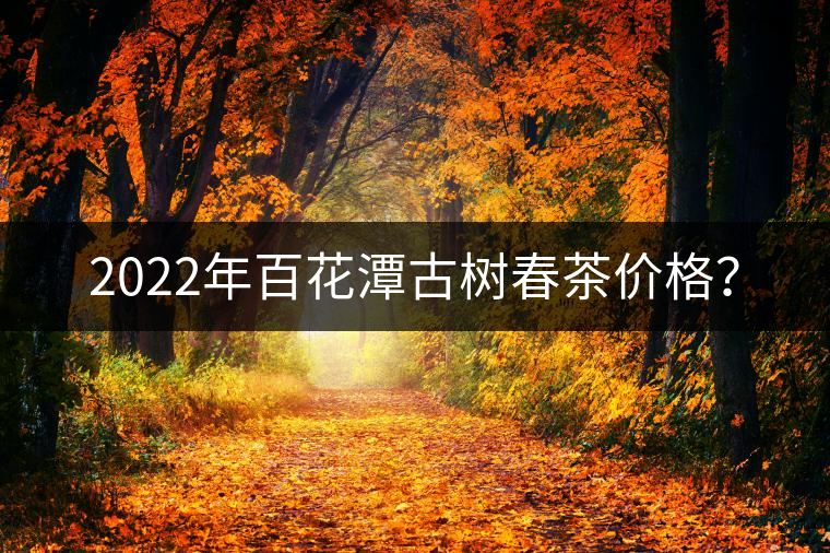 2022年百花潭古樹春茶價格？