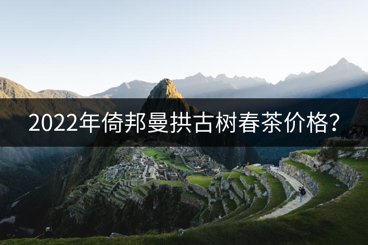 2022年倚邦曼拱古樹春茶價(jià)格？