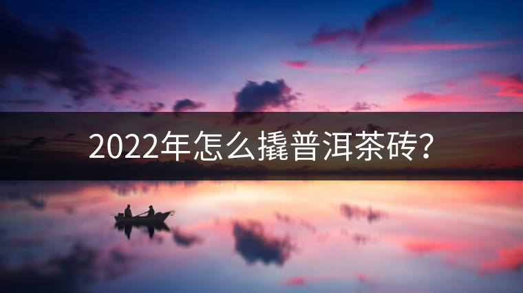 2022年怎么撬普洱茶磚？