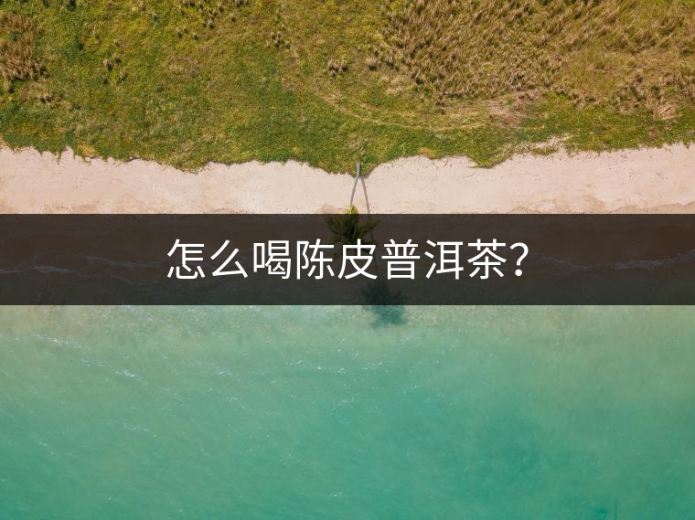 怎么喝陳皮普洱茶？