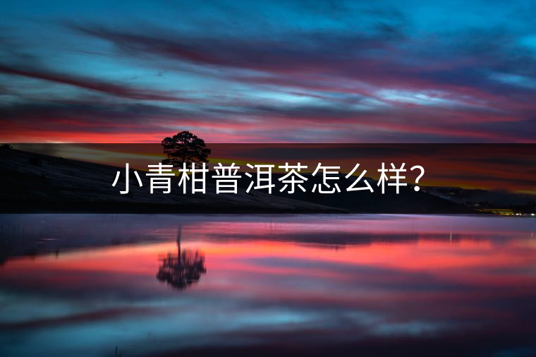 小青柑普洱茶怎么樣？