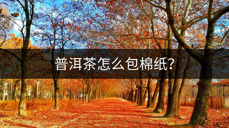普洱茶怎么包棉紙？