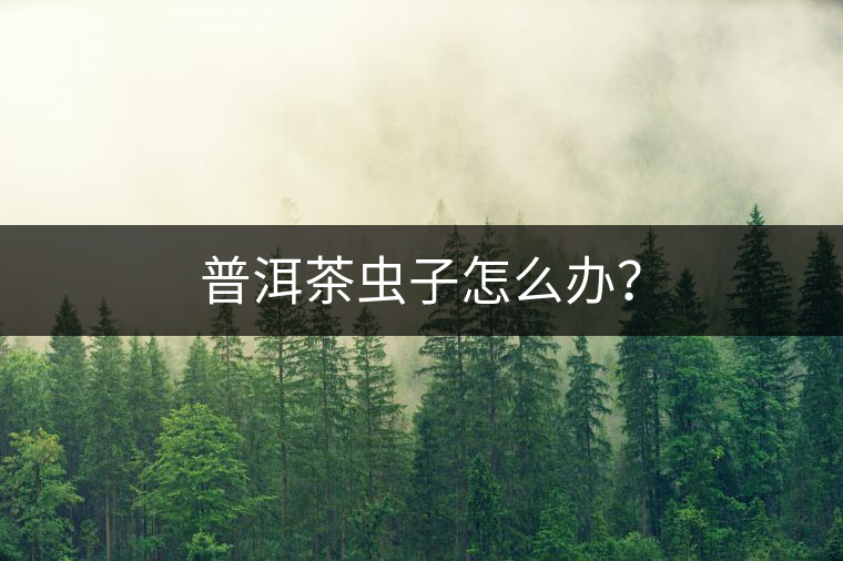 普洱茶蟲子怎么辦？