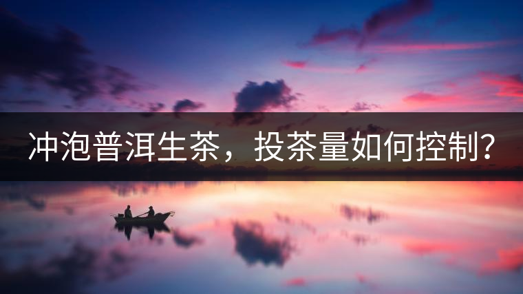 沖泡普洱生茶，投茶量如何控制？