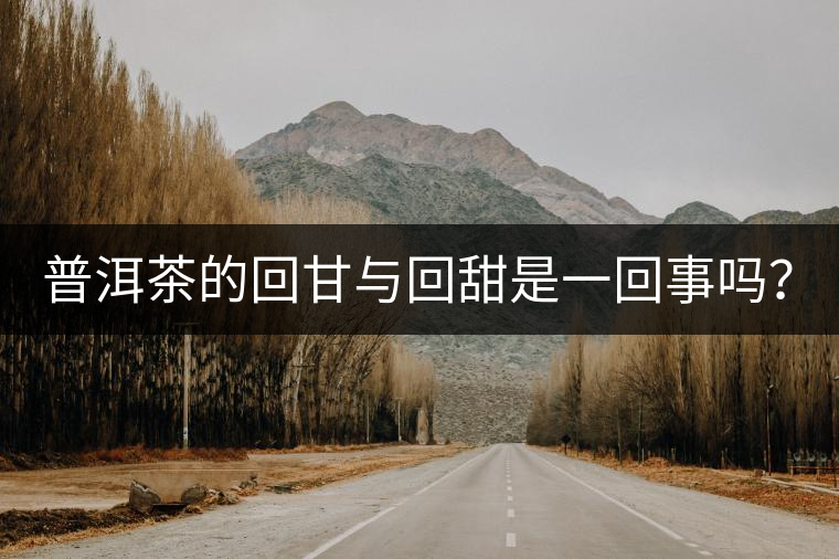 普洱茶的回甘與回甜是一回事嗎？？