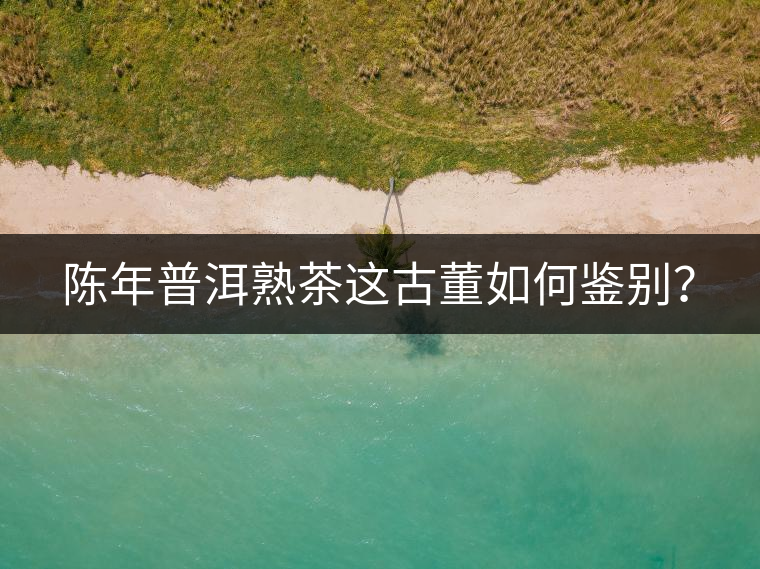 陳年普洱熟茶這古董如何鑒別？