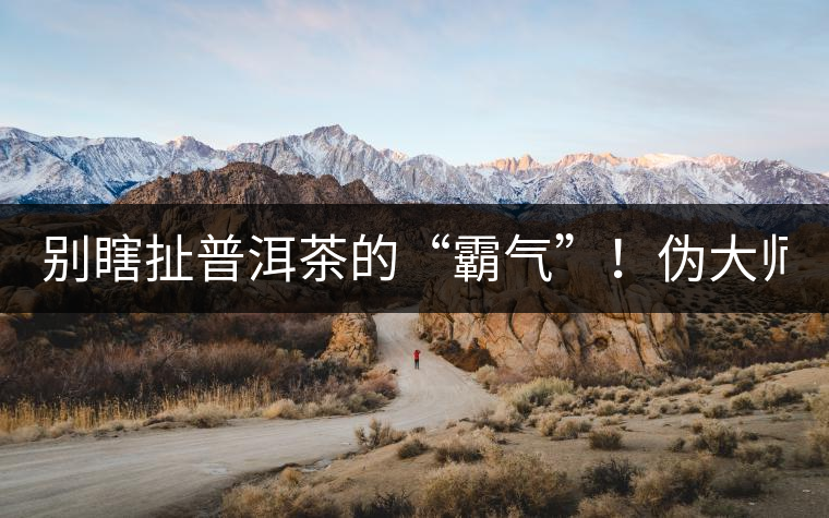 別瞎扯普洱茶的“霸氣”！偽大師！