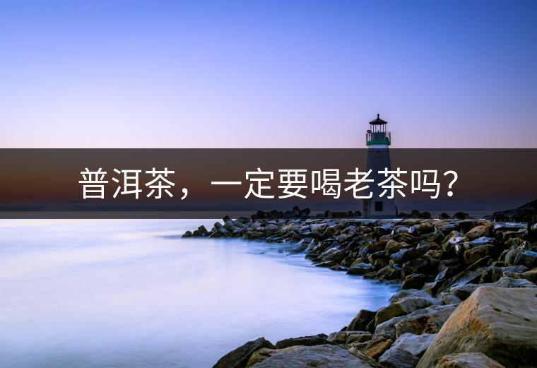 普洱茶，一定要喝老茶嗎？