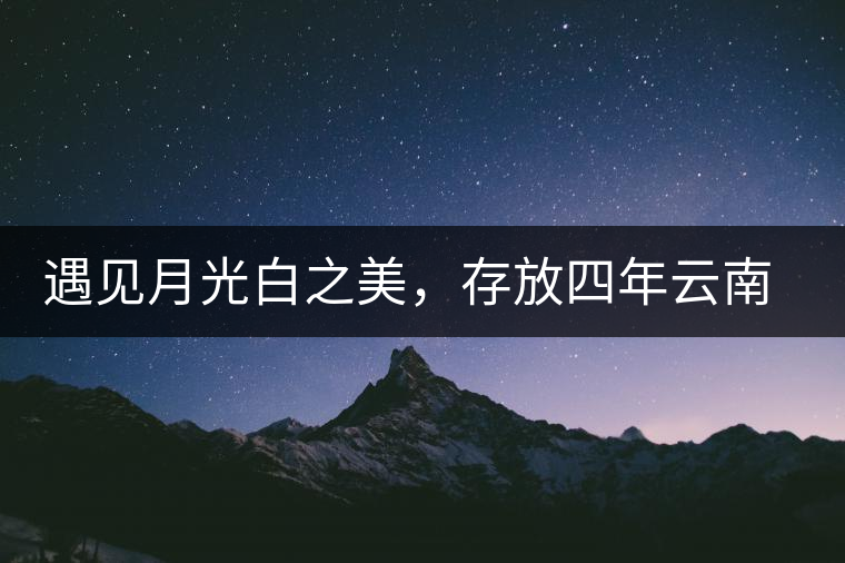 遇見(jiàn)月光白之美，存放四年云南古樹(shù)白茶