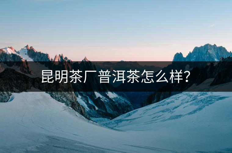 昆明茶廠普洱茶怎么樣？