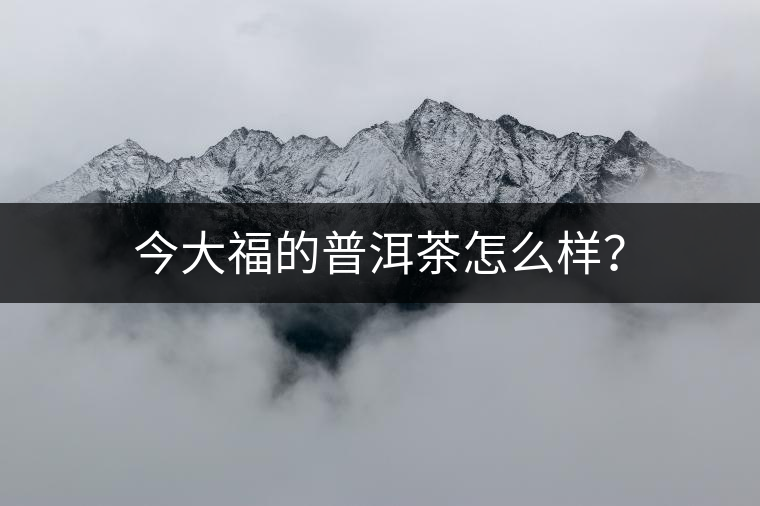 今大福的普洱茶怎么樣？