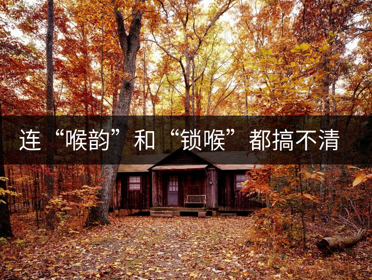 連“喉韻”和“鎖喉”都搞不清楚，就不要說(shuō)懂普洱茶！