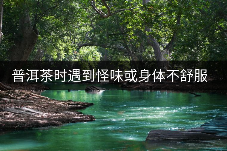 普洱茶時遇到怪味或身體不舒服時，怎么破？