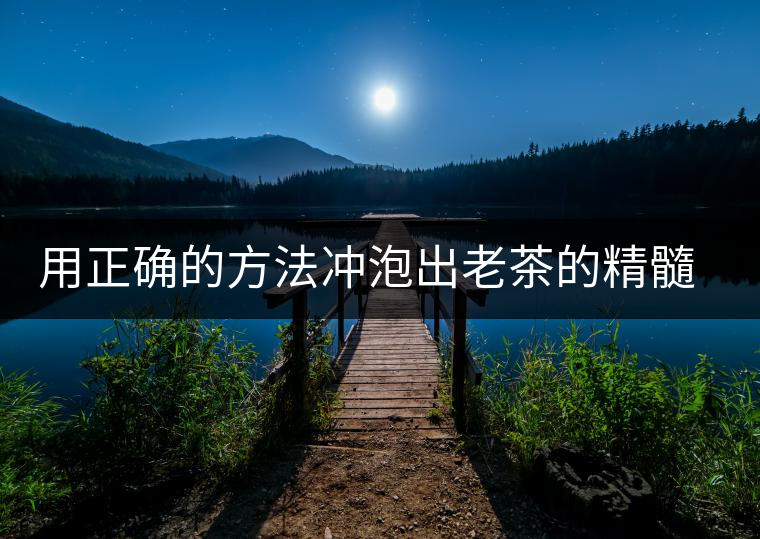 用正確的方法沖泡出老茶的精髓；評(píng)看普洱茶葉底也是一門手藝！