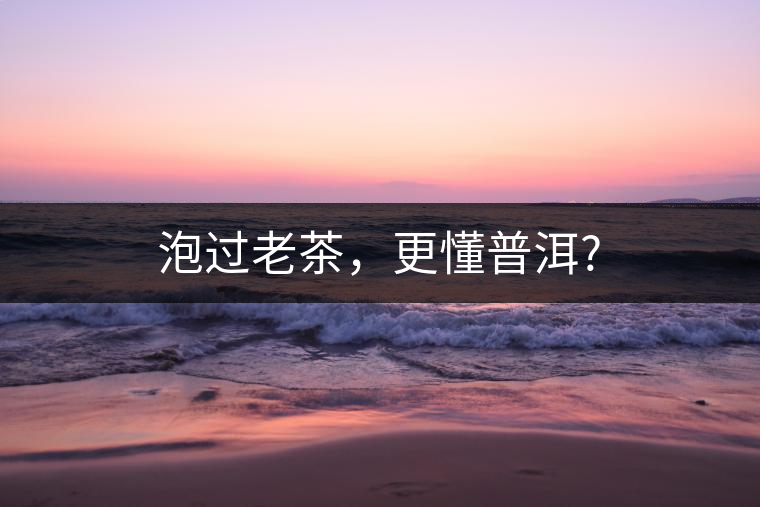 泡過老茶，更懂普洱?