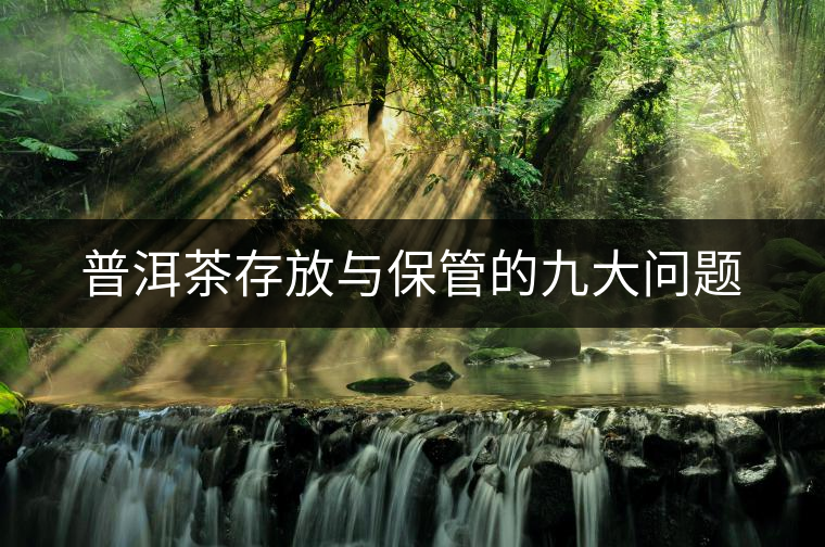 普洱茶存放與保管的九大問題