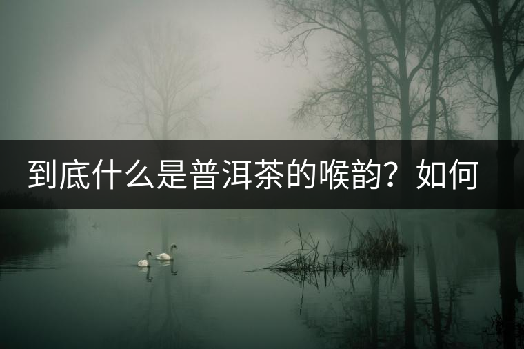 到底什么是普洱茶的喉韻？如何感受？