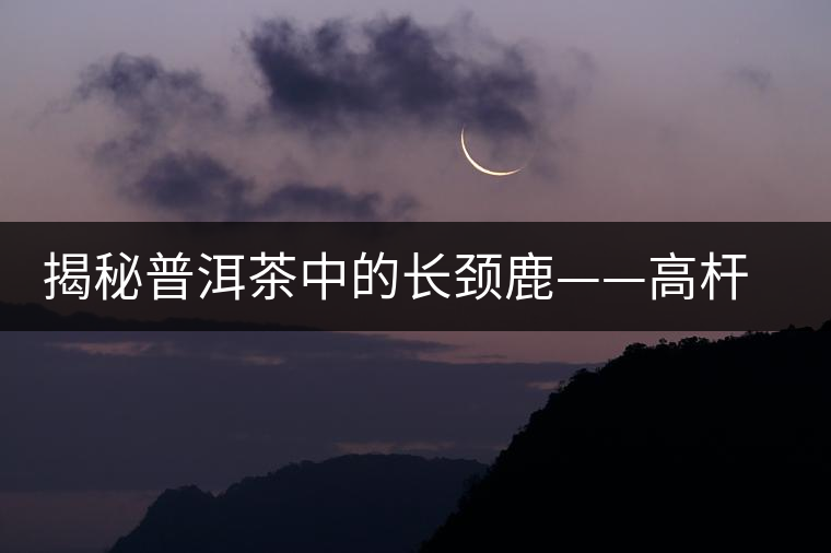 揭秘普洱茶中的長(zhǎng)頸鹿——高桿古樹(shù)茶