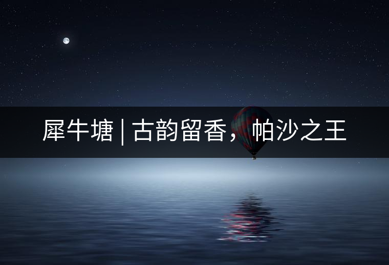 犀牛塘 | 古韻留香，帕沙之王