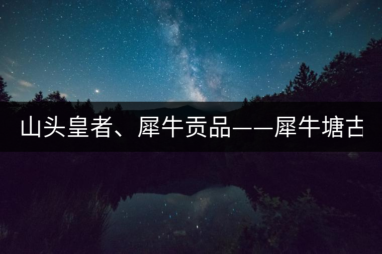 山頭皇者、犀牛貢品——犀牛塘古樹茶！